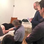 Tuina Chinese Massage Course1